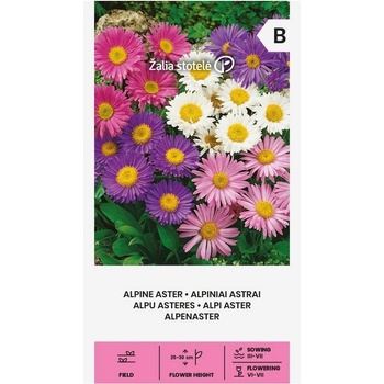 Seklos Астри Алпийски Микс / Aster alpinus L