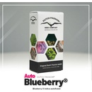 Dutch Passion AUTO Blueberry semena neobsahují THC 3 ks