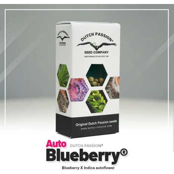 Dutch Passion AUTO Blueberry semena neobsahují THC 3 ks