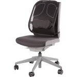 Fellowes Облегалката FELLOWES Professional Series Mesh 8029901 (8029901)