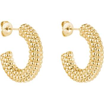 Daniel Klein Дамски обеци Daniel Klein DKJ. 3.5031-2 (B--DKJ.3.5031-2)