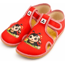 Antal Rascal Ladybug