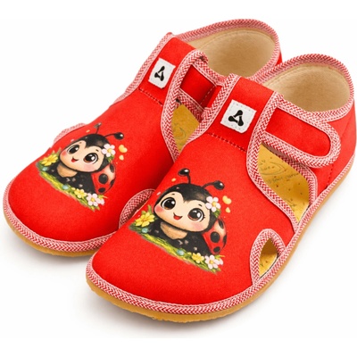 Antal Rascal Ladybug
