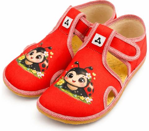 Antal Rascal Ladybug
