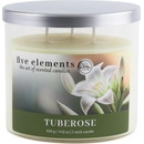 Five Elements Tuberose 420 g