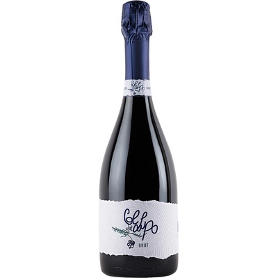 Col Del Lupo Brut Valdobbiadene Prosecco Superiore DOCG biele 11,5% 0,75 l (čistá fľaša)