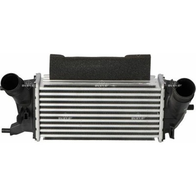 Chladič plniaceho vzduchu NRF 309044