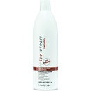 Inebrya Keratin reštrukturalizačný šampón s keratínom Restructuring Shampoo with Keratin 300 ml