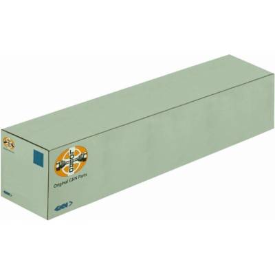 GKN-304667