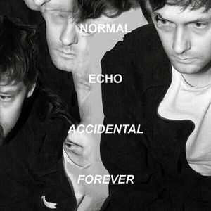 Normal Echo - Accidental Forever (LP) (0880918221977)
