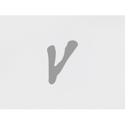 papelote Reflexní samolepka Monogram Varianta: V