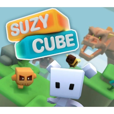 Suzy Cube