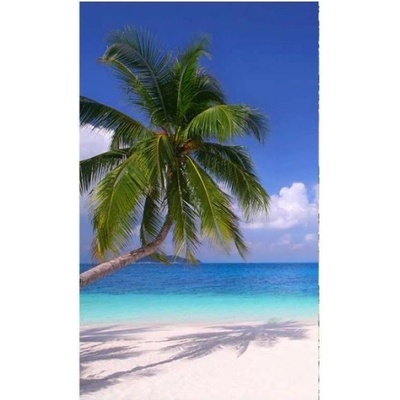 DIMEX ART Флизелинов фототапет плаж с палма 150 x 250 см