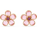 Swarovski 5656635