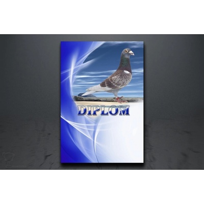 Diplom poštovní holub D87/A5 – Zboží Dáma Diplom poštovní holub D87/A5 – Zboží Dáma
