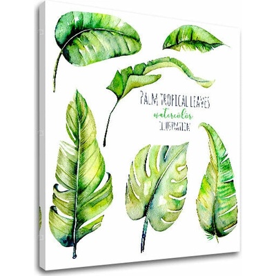Obraz na stenu s textom Palm tropical leaves - 30x30 cm