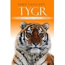 Tygr