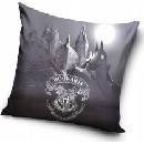 Carbotex Harry Potter 40 x 40 cm