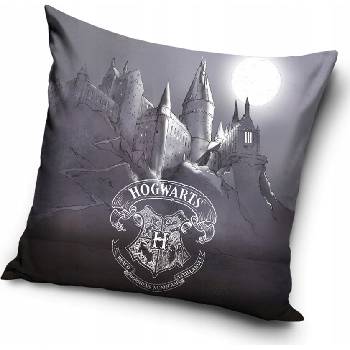 Carbotex Harry Potter 40 x 40 cm