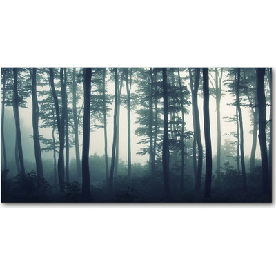 Foto obraz fotografie na skle Les v hmle 100x50 cm