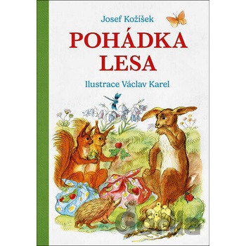 Pohádka lesa