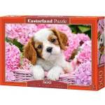 Castorland Puzzle 500 pcs. Pup in Pink Flowers