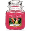 Yankee Candle Tropical Jungle 623 g