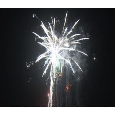 Kompaktní ohňostroj Wave Palm 100 ran 30 mm