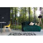 DIMEX ART Самозалепваща се флизелинова фототапета бук през есента 375 x 250 см
