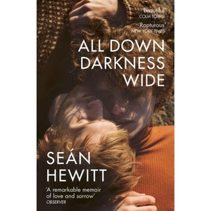 All Down Darkness Wide (ISBN: 9781529114478)