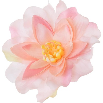 HLAVA DAHLIA RUŽOVÁ P:12CM BAL:12KS