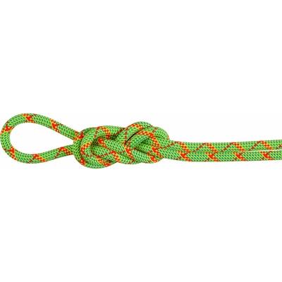 Mammut 8.0 Alpine Core Protect Dry Rope 70m
