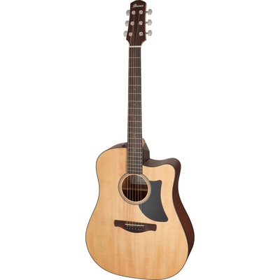 Ibanez AAD50CE-LG NAT