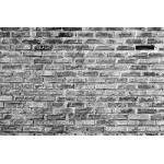 DIMEX ART Флизелинов фототапет сив тухлен фон 375 x 250 см