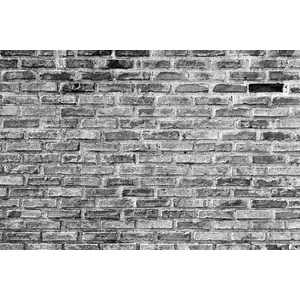 DIMEX ART Флизелинов фототапет сив тухлен фон 375 x 250 см