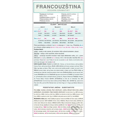 FRANCOUZŠTINA souhrn gramatiky