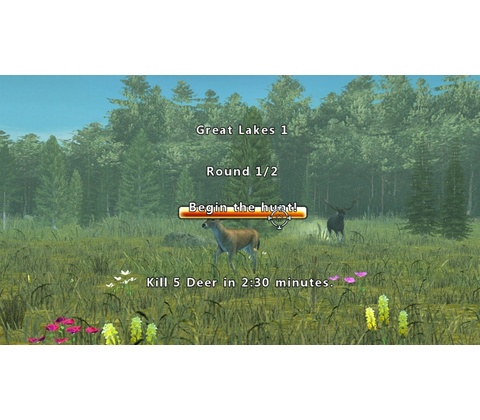 Deer Hunt Legends