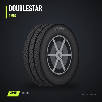 DoubleStar DW09 245/45 R18 96T