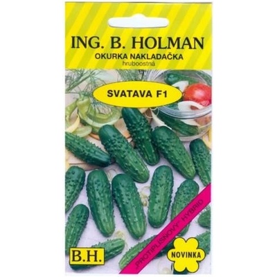 HOLMAN Okurka nakladačka hruboostná Svatava F1 2.5 g