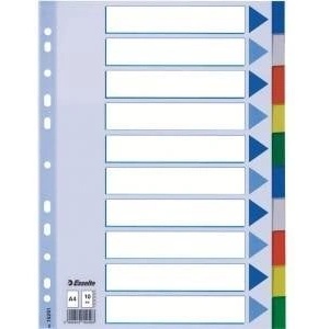 Esselte Binder holders A4 plastic 10 cards (10K217A)