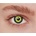 MAGIC EYE Eclipse (f-40)