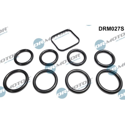 Sada těsnění, koleno sacího potrubí Dr.Motor Automotive DRM027S