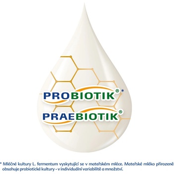 HiPP 1 BIO Combiotik 700 g