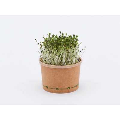Tiny Greens Vojtěška Alfalfa BIO semínka na klíčení a 50 g