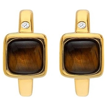 Hot Diamonds náušnice DE769