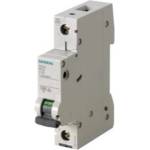 Siemens 5SL6106-6
