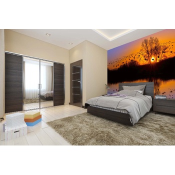 DIMEX ART s. r. o Самозалепваща се флизелинова фототапета ято канадски гъски 375 x 250 см