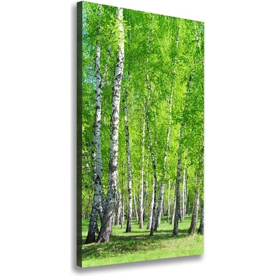 Vertikálny foto obraz canvas Brezový les 50x100 cm