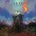 URNE - SETTING FIRE TO THE SKY CD
