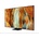Samsung QE65QN70FAU